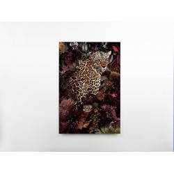 LEOPARDO- FOTOGRAFIA 80x120