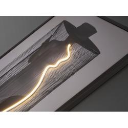 DIVA- CUADRO LUZ LED 80X120