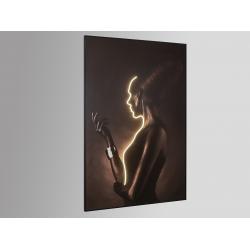 SILUETA-CUADRO LUZ LED 120X180