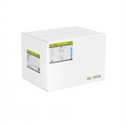 OASIS * LAMPARA LED 80W ORO - 6 COLGANTES- DIMABLE TRIAC