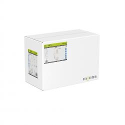 OASIS * LAMPARA LED 54W ORO - 4 COLGANTES - DIMABLE TRIAC