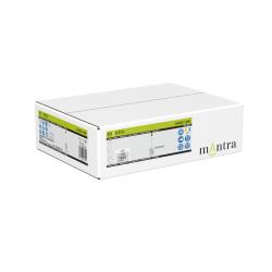 OASIS * COLGANTE LED 12W ORO - DIMABLE TRIAC