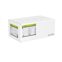 OASIS * SOBREMESA LED 15W ORO - GRANDE