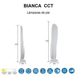 BIANCA CCT * PIE SALON LED
